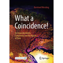What a Coincidence by Bernhard Wessling Paperback Book