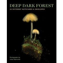 Deep Dark Forest Notes by Julya Hajnoczky Other Book