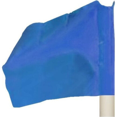 (One Size, Royal Blue) Precision Pro Corner Flag