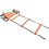 Precision Neo Agility Ladder 1