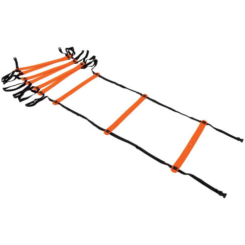 Precision Neo Agility Ladder