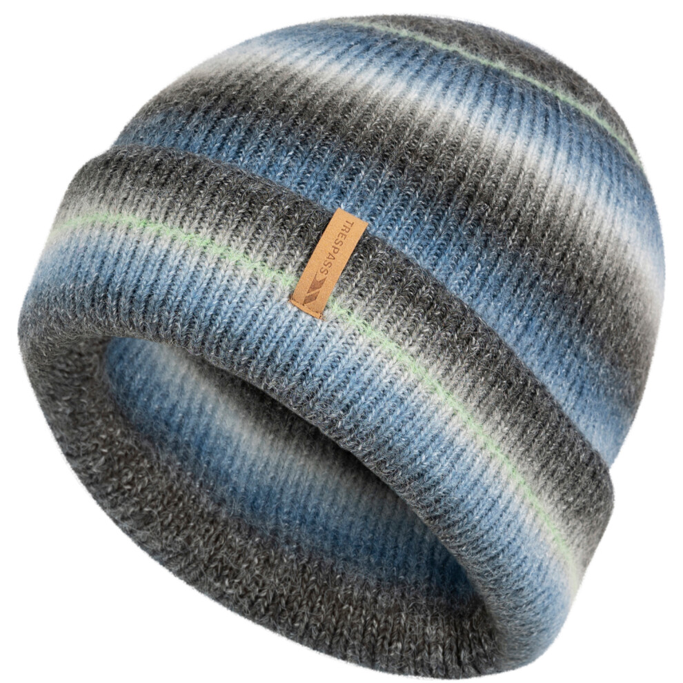Trespass Unisex Adult Chevron Beanie