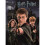 Harry Potter Harry Potter Harry, Ron And Hermione Print 1