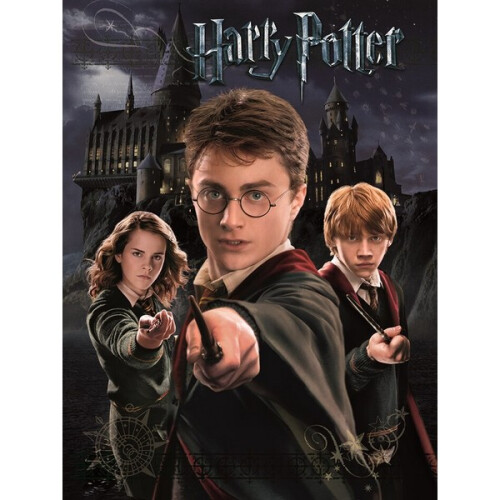 Harry Potter Harry Potter Harry, Ron And Hermione Print
