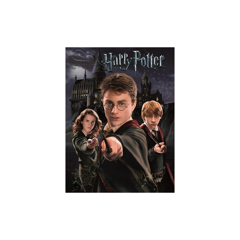 Harry Potter Harry, Ron And Hermione Print