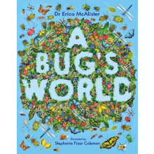 A Bugs World by Erica McAlister Paperback Book