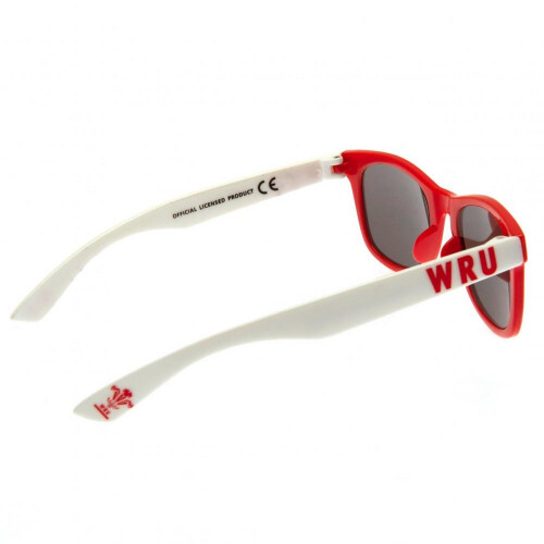 Wales RU Childrens/Kids Retro Sunglasses 2