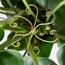 5PCS Monstera Plant Support Clips Set, Durable Metal Adjustable Stem Holders for Indoor Plants