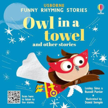 Owl in a towel and other stories by Russell Punter Hardcover Book