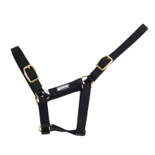 (Foal, Black) Roma Foal Headcollar