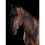 (Warmblood, Brown) Collegiate Comfitec Crystal Leather Bridle 4