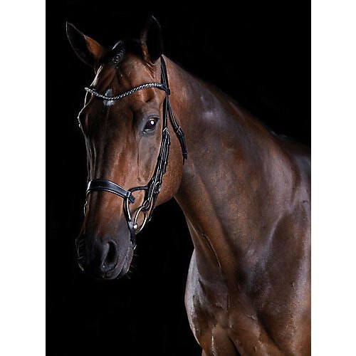 (Full, Brown) Collegiate Comfitec Crystal Leather Bridle 2