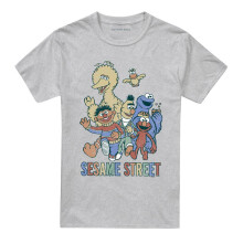 (S, Athletic Heather) Sesame Street Unisex Adult Group T-Shirt