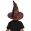 Harry Potter Harry Potter Sorting Hat Costume Accessory 4