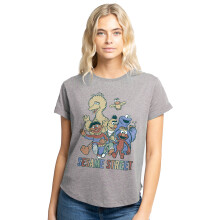 (M, Heather Grey) Sesame Street Womens/Ladies Group T-Shirt