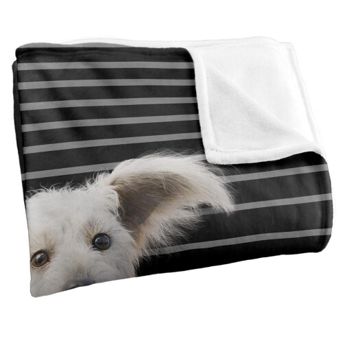 Superman Superman Silky Lines Krypto Supersoft Blanket 2