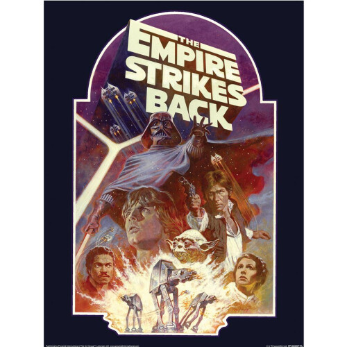 Star Wars Star Wars Empire Strikes Back Block Print