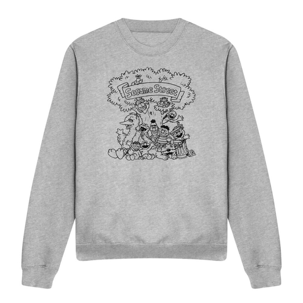 Sesame Street (Xl, Athletic Heather) Unisex Adult Simple Street Characters Sweatshirt Multicoloured