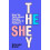 HeSheThey by Schuyler Bailar Paperback Book 1