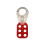 Scan Lock Out Hasp 1