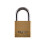 Squire Squire Lion Marine Padlock 1
