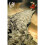Korn Follow The Leader Maxi Poster 1