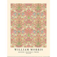(40cm x 0.21cm x 30cm, Pink) William Morris Hyacinth Print