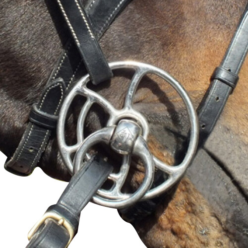 (135mm, Silver) Whitaker Twisted Bar Horse Universal Bit 2