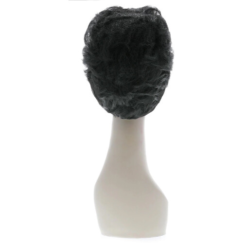 Elvis Presley Deluxe Wig 1