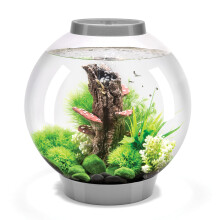 biOrb Classic 30 Acrylic 8-Gallon Aquarium with White LED Lights Modern Tank for Tabletop Display, Silver