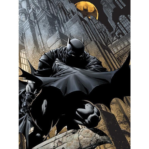 Batman Batman Night Watch Canvas Print