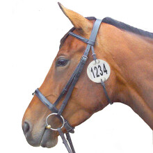 Equidisc 4 Numbers Horse Bridle Numbers