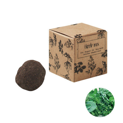 MidOcean Bombi III Herb Bomb Seed Growing Kit 2