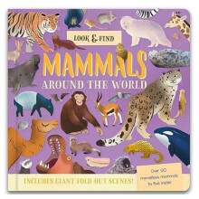 Look amp Find by Laura Chamberlain Hardcover Book