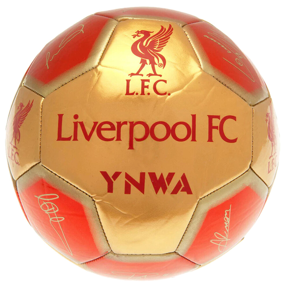 Liverpool Fc Signature 26 Panel Football