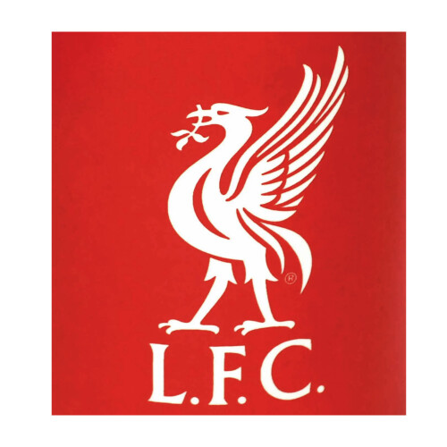 Liverpool FC Liverpool FC Fade Mug 2