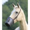Shires Plastic Horse Grazing Muzzle 2