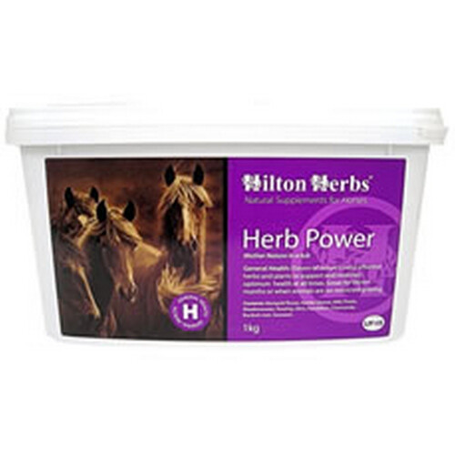 Hilton Herbs Herb Power