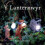 Y Lanternwyr by Karin Celestine Paperback Book 1