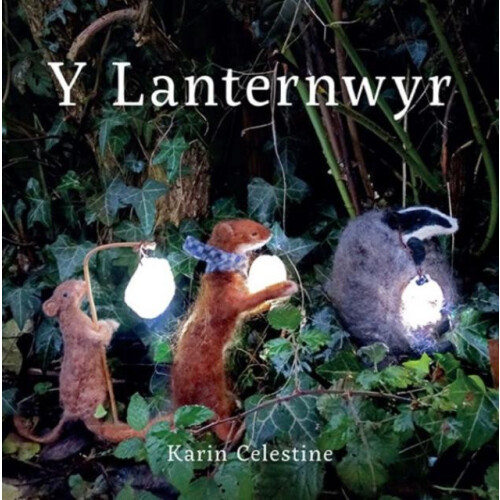 Y Lanternwyr by Karin Celestine Paperback Book