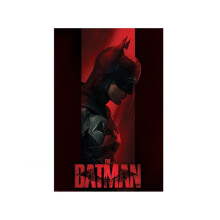 Batman Out Of The Shadows Poster