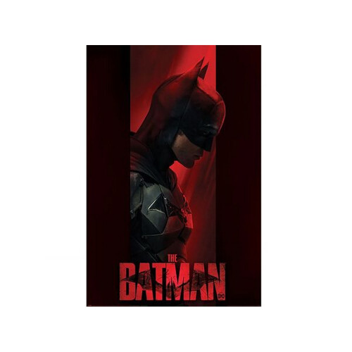 Batman Batman Out Of The Shadows Poster