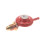 Lifestyle Propane Regulator 1