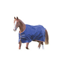 Tempest Typhoon Horse Turnout Rug