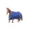 Tempest Typhoon Horse Turnout Rug 1