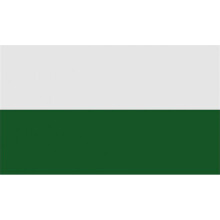 (29.5cm x 36.5cm, White/Green) Carta Sport Corner Flag