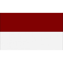 (29.5cm x 36.5cm, White/Maroon) Carta Sport Corner Flag