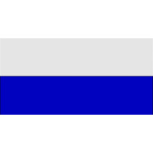 (29.5cm x 36.5cm, White/Royal Blue) Carta Sport Corner Flag