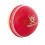 Readers Readers Childrens/Kids Supaball Cricket Ball 1