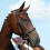 Collegiate Syntovia+ Horse Bridle 1